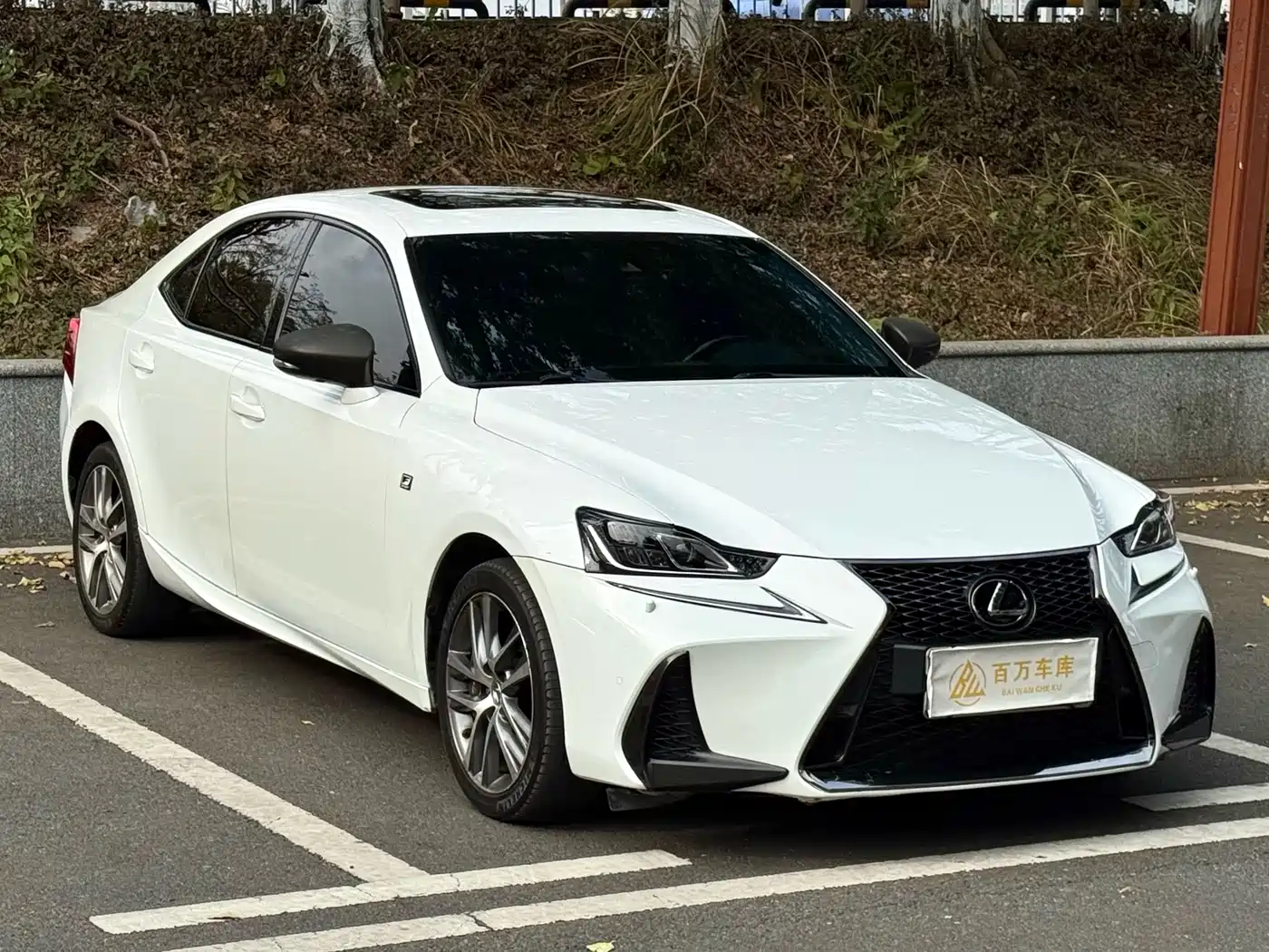 LEXUS IS