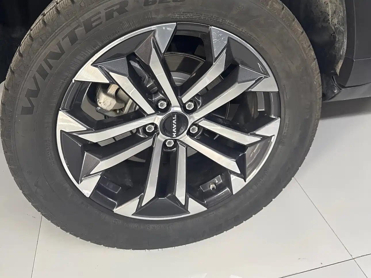 Haval Big Dog 2024 1.5T DCT Border Collie Edition фото 12