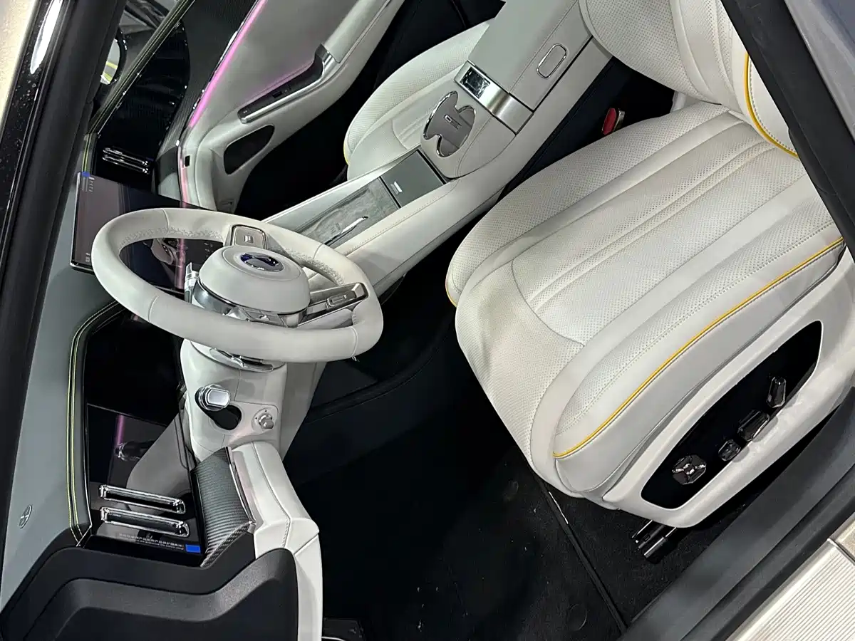 Фото 4 - Denza Z9GT