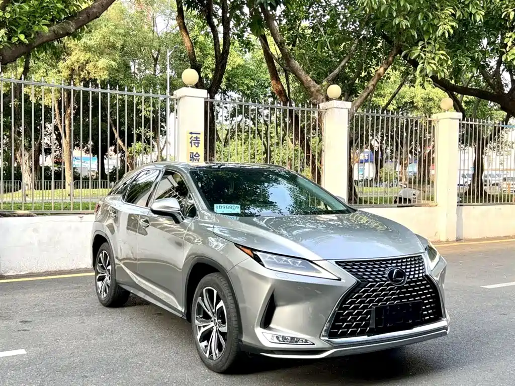 Lexus RX 2020 Facelift 300 AWD Elegance Edition фото 3