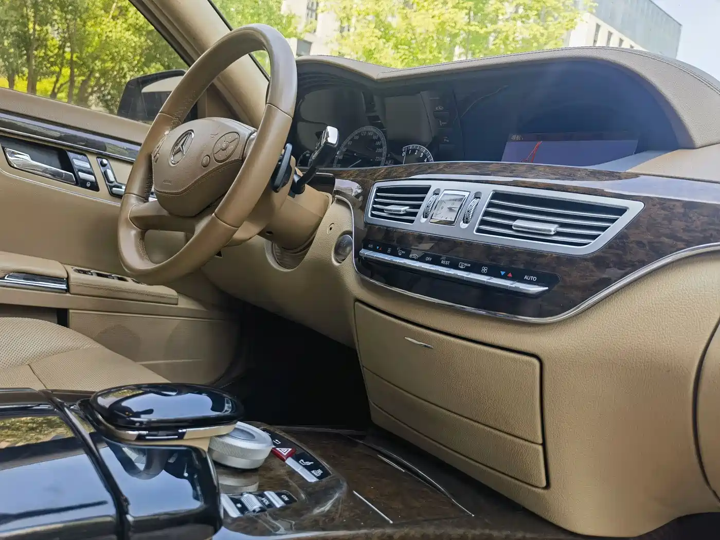 Mercedes-Benz S-Class 2010 S 300 L Luxury фото 12