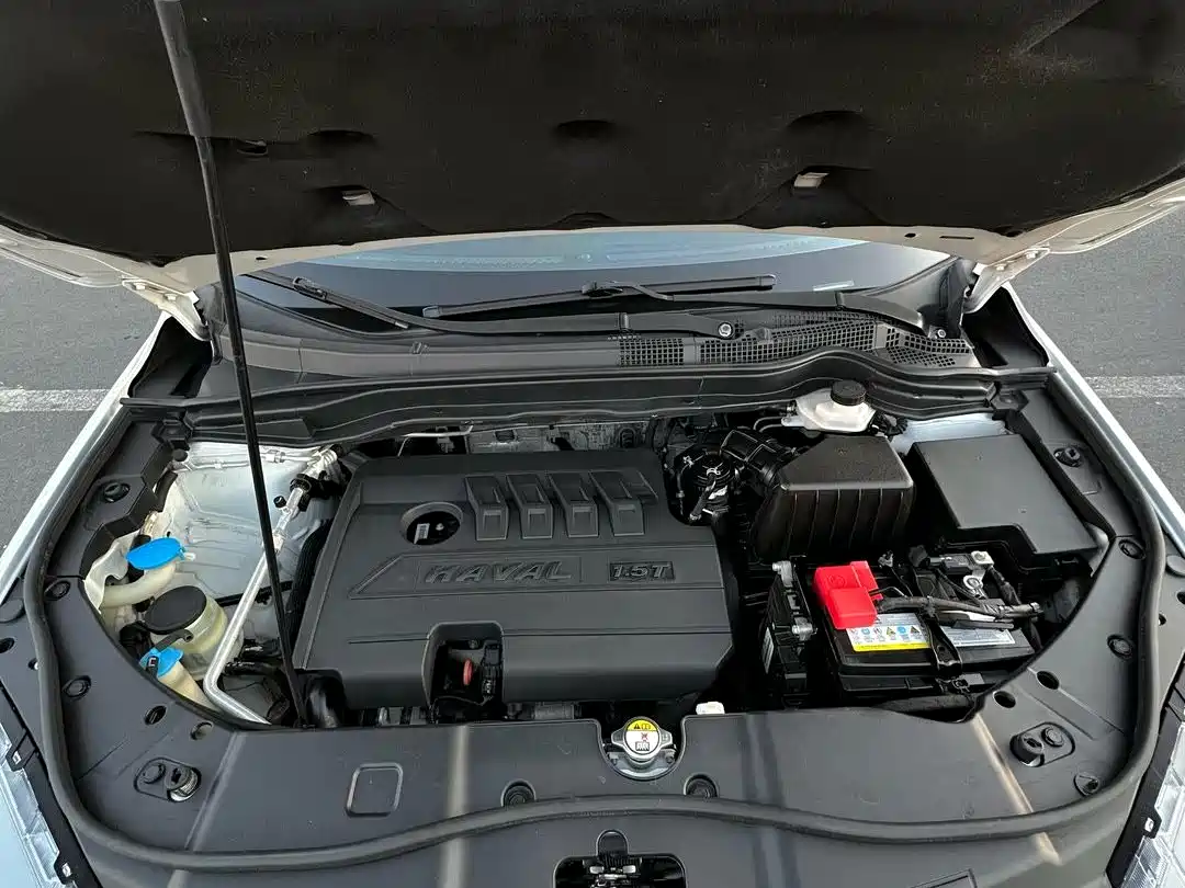 Haval H6 2018 Red Label Sport 1.5T Automatic 2WD Elite фото 12