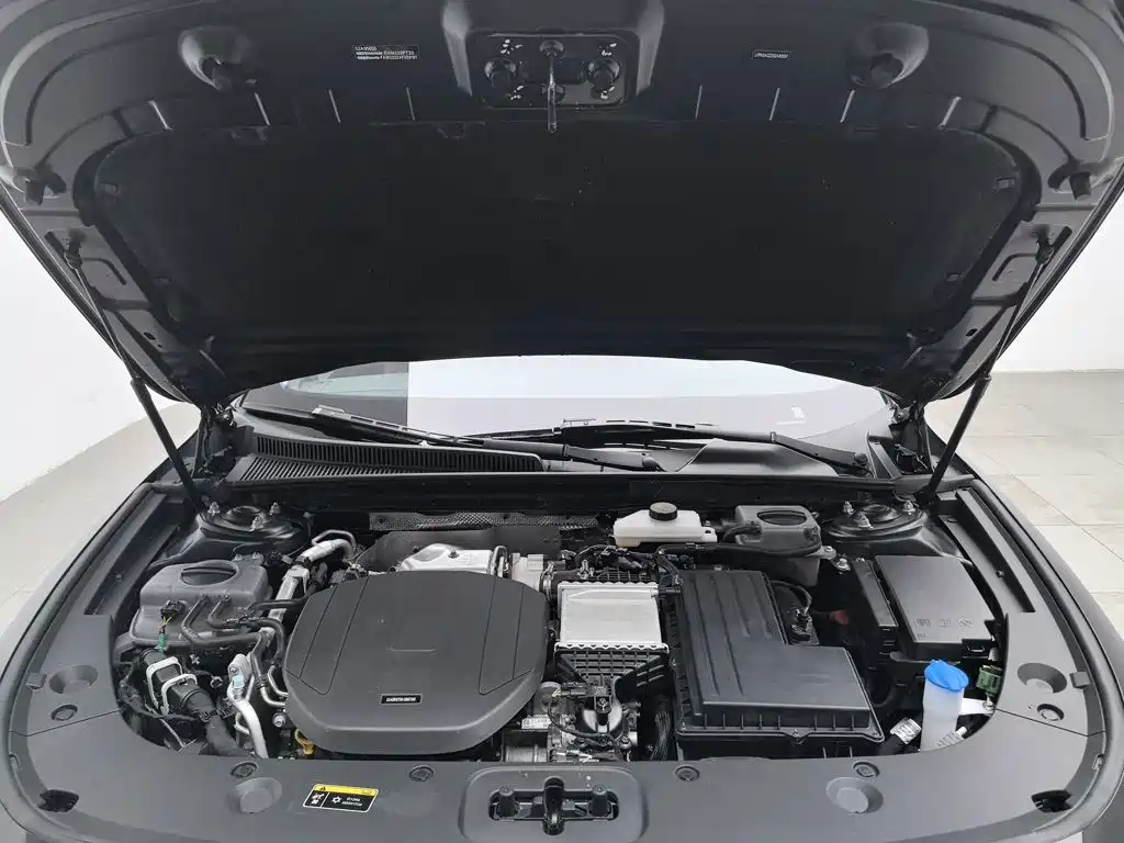Hongqi H5 PHEV 2025 2025 130 Super Hybrid Edition