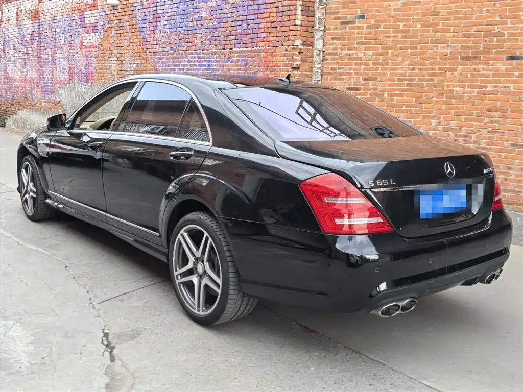 Mercedes-Benz S-Class AMG 2010 AMG S 65 фото 5