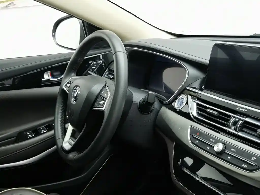 Changan Raeton CC 2018 2018 1.5T Auto Premium Class China V