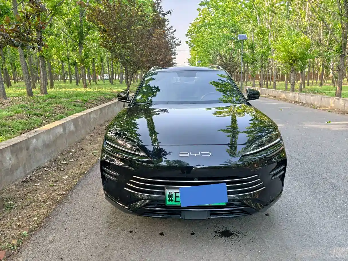 BYD Song PLUS PHEV 2024 Glory Edition DM-i 110km Flagship фото 2