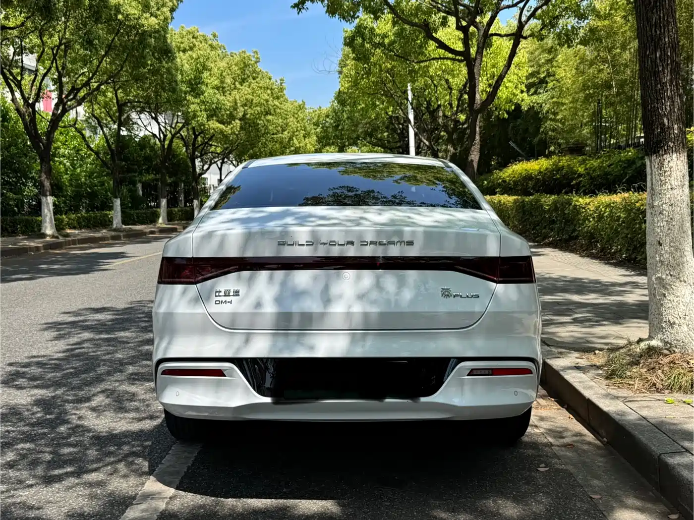BYD Qin PLUS 2024 Glory Edition DM-i 55KM Leading фото 5