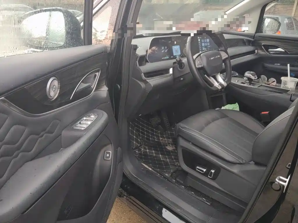 Dongfeng Fengxing Starlight V9 2025 2026 Beyond Joy Series 200km Luxury