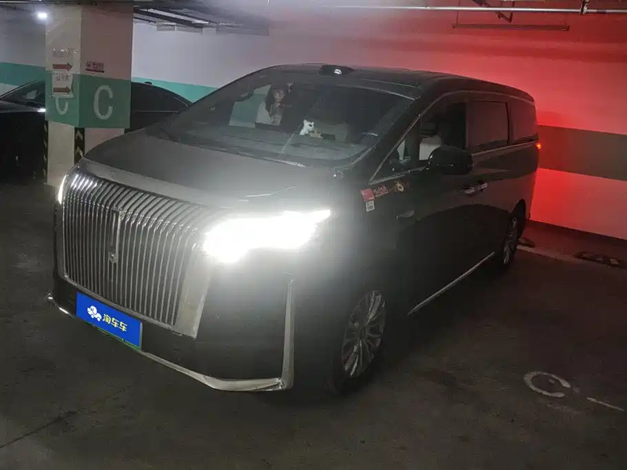 WEY Alpine 2025 AWD Alpine 8