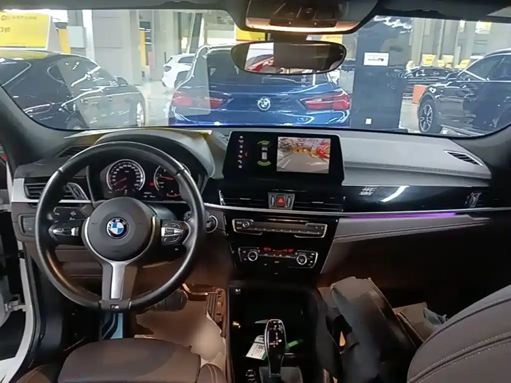 BMW X2