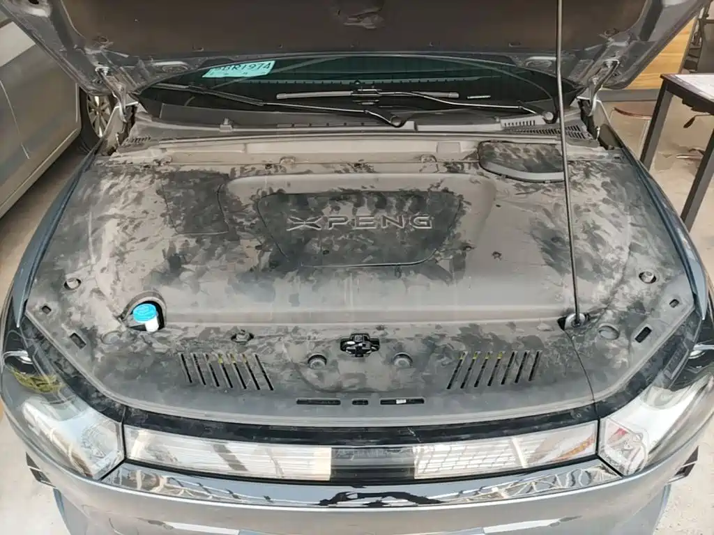 Фото 20 - XPeng P5