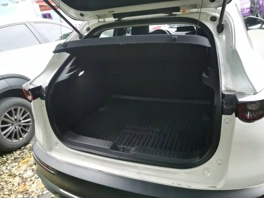 Mazda CX-30 EV 2023 2021 Pure Electric Enjoyment Edition