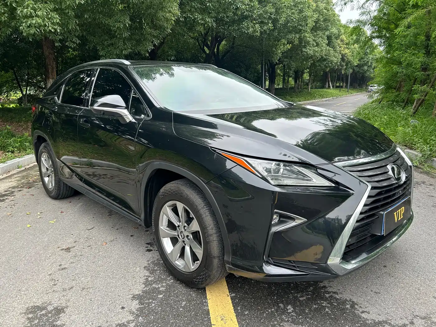 Фото 2 - Lexus RX