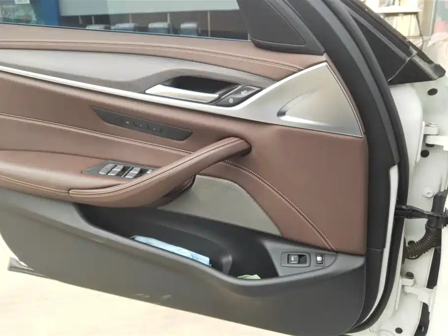 BMW 5 SERIES NEW ENERGY