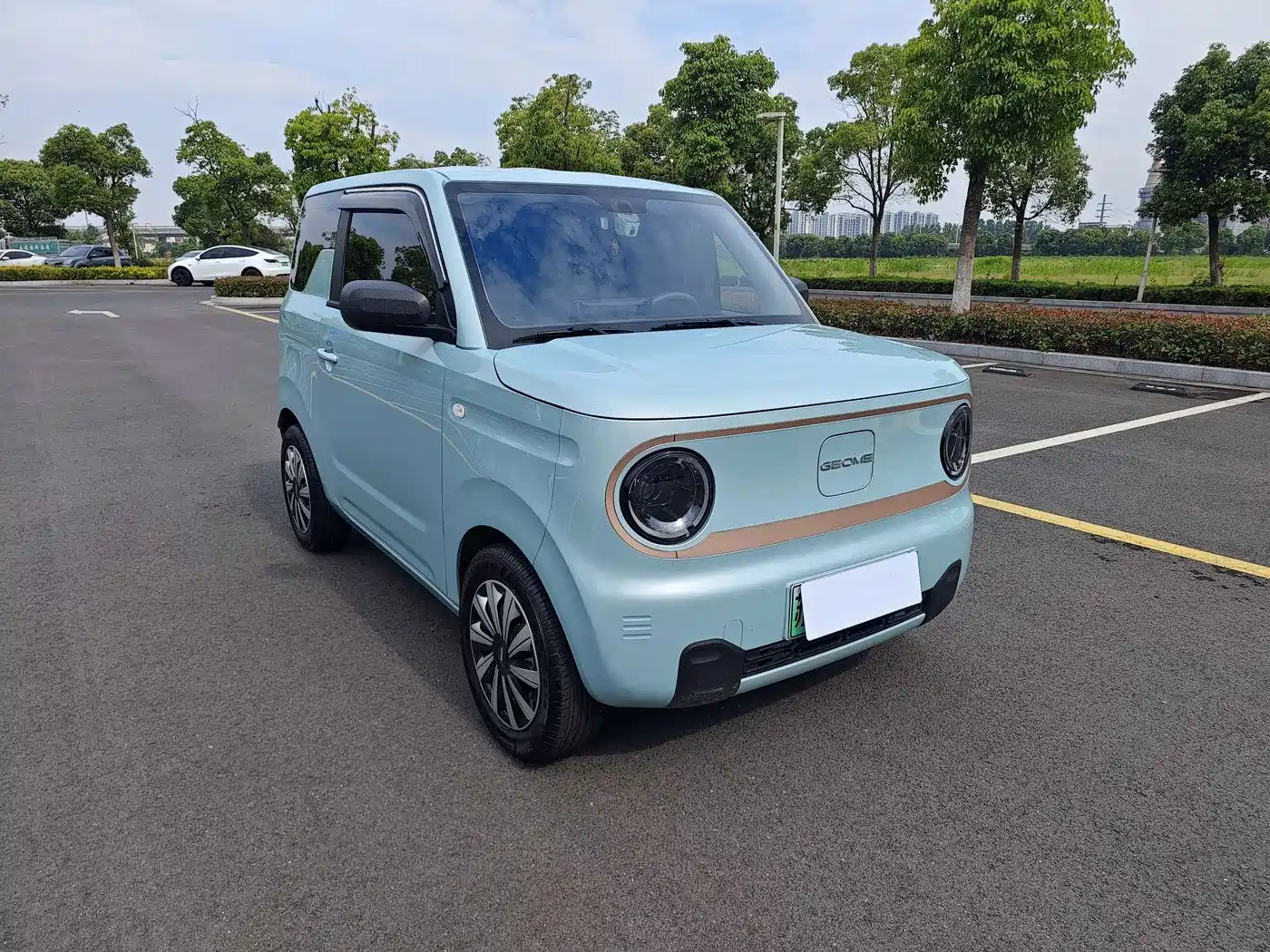 Geely Galaxy Panda 2024 Panda mini 200km Endurance Bear фото 3