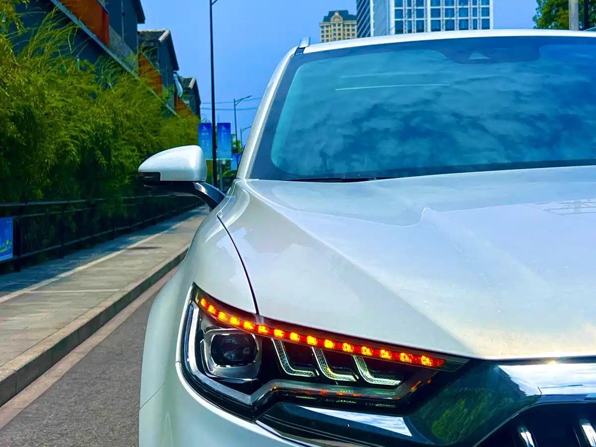 Hongqi HS5 2019 2.0T Smart Connect Enjoy 4WD Edition фото 4