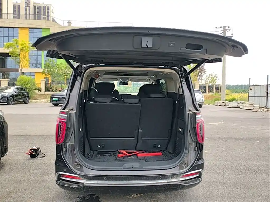 Hongqi HQ9 PHEV 2024 Model 2.0T AWD Business Edition фото 19