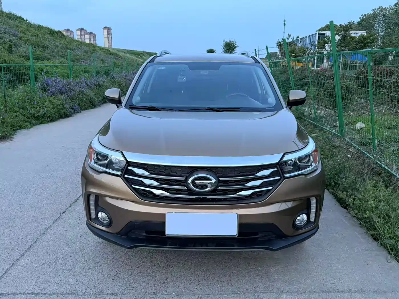 GAC Trumpchi Trumpchi GS4 2016 235T G-DCT Luxury Edition фото 3
