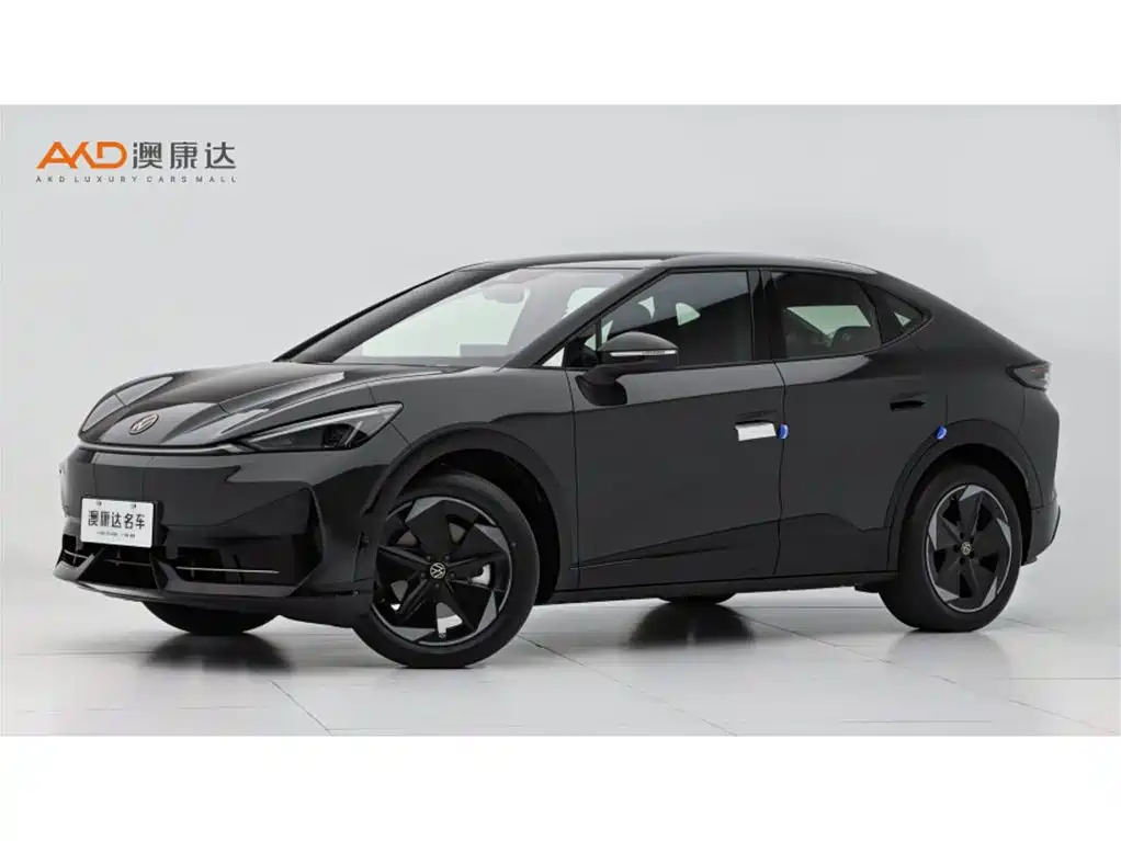 VOLKSWAGEN WITH THE CROWD 06