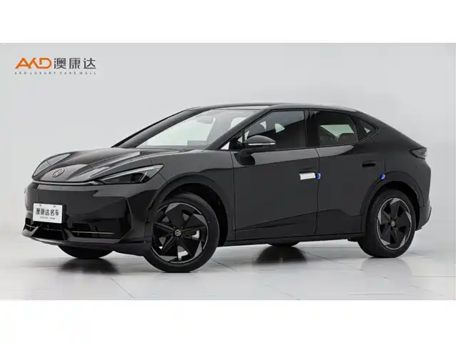 VOLKSWAGEN WITH THE CROWD 06