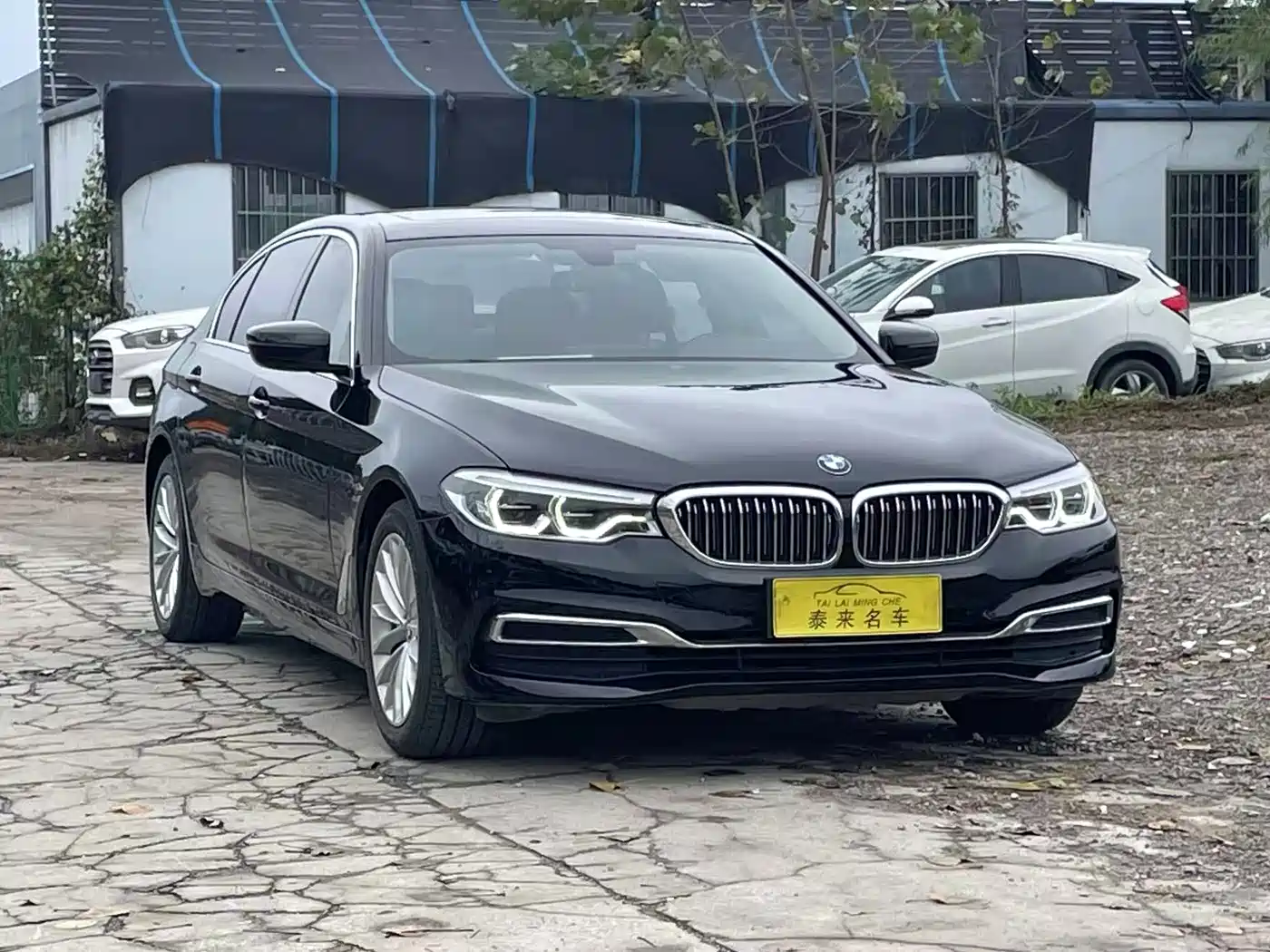 BMW 5 Series 2020 530Li Leading Luxury Package фото 3