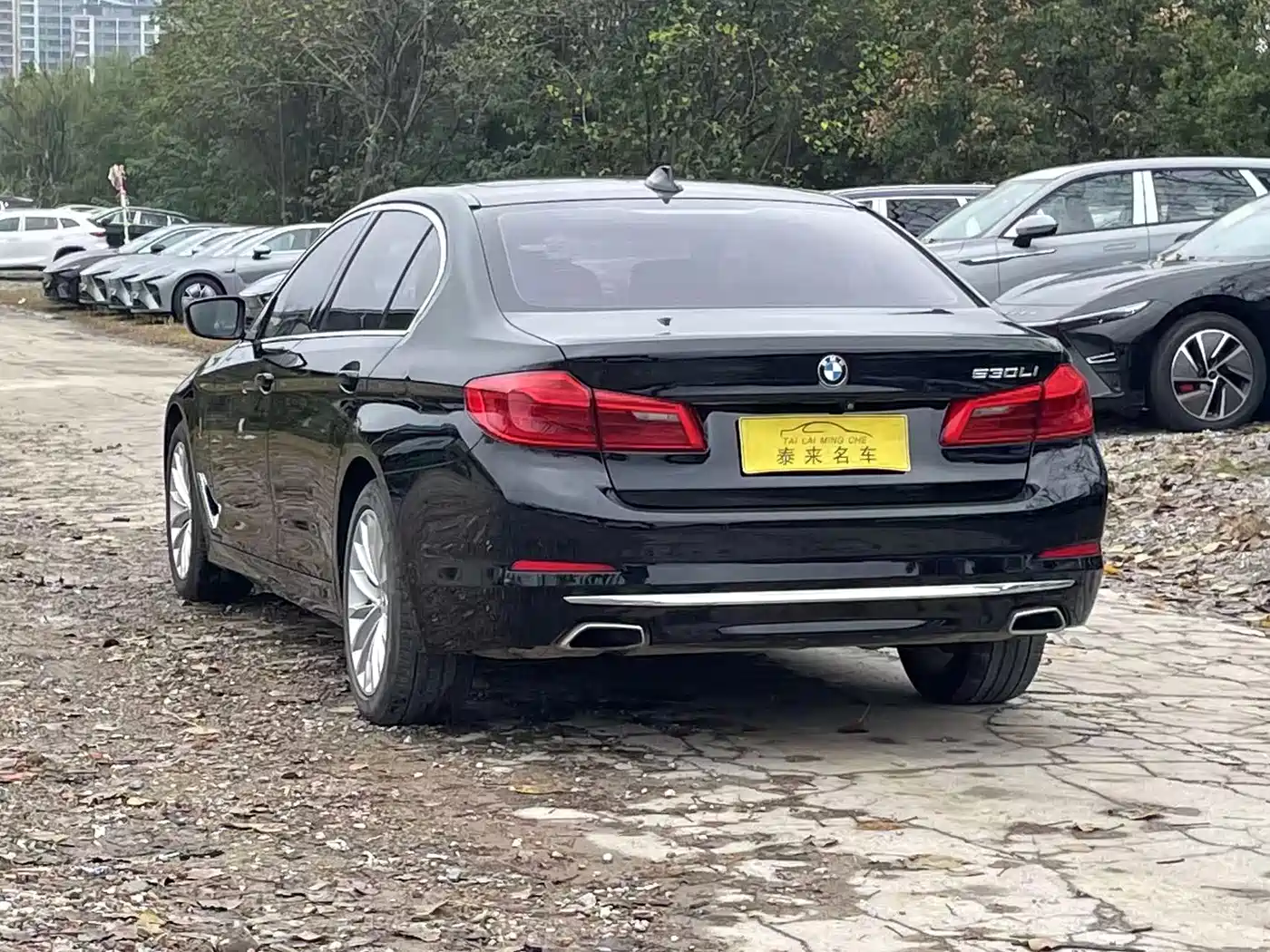 BMW 5 Series 2020 530Li Leading Luxury Package фото 7