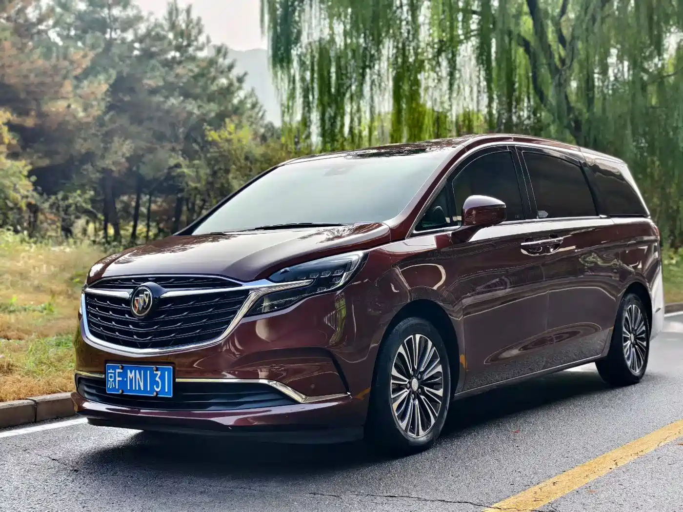 Buick GL8 2022 ES Landmark 653T Smart Luxury