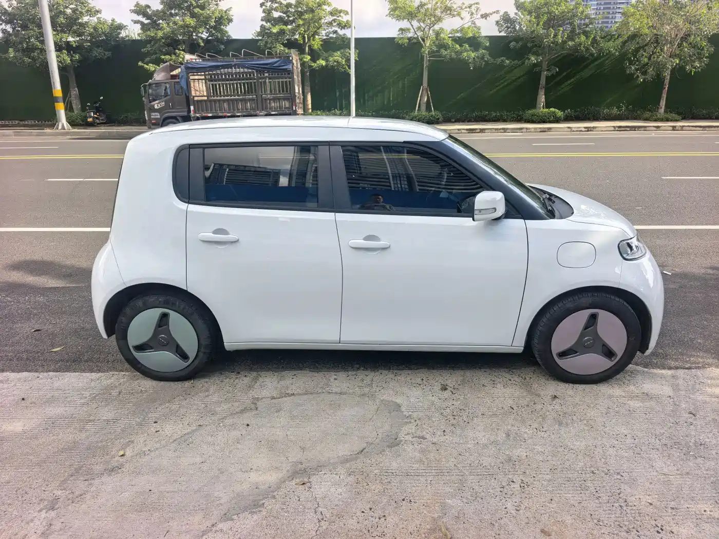 Ora White Cat 2020 2020 360km Standard Model