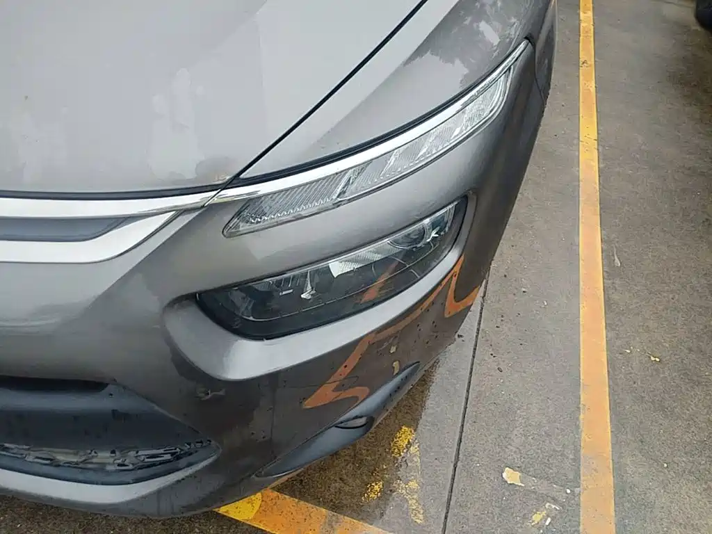 Фото 24 - Citroën C4 Picasso