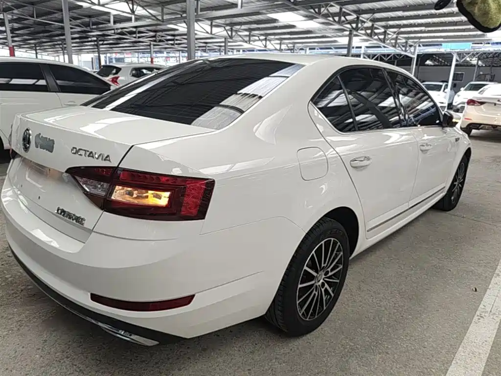 Škoda Octavia 2019 1.5L Automatic Luxury Edition фото 7