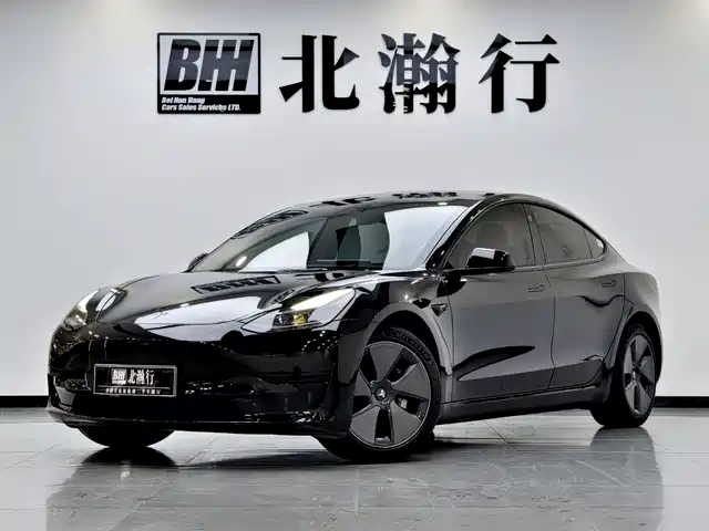 Tesla Model 3 2022 Model Rear-Wheel Drive Version