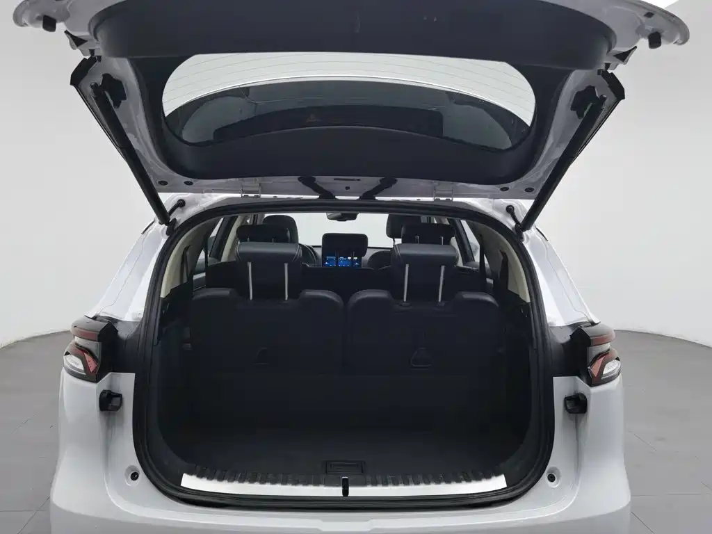 Photo 16 - BYD Tang