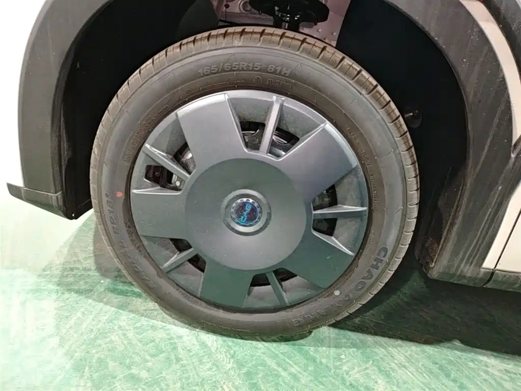 BYD Seagull 2025 Smart Drive Edition 305km Vitality Version фото 23
