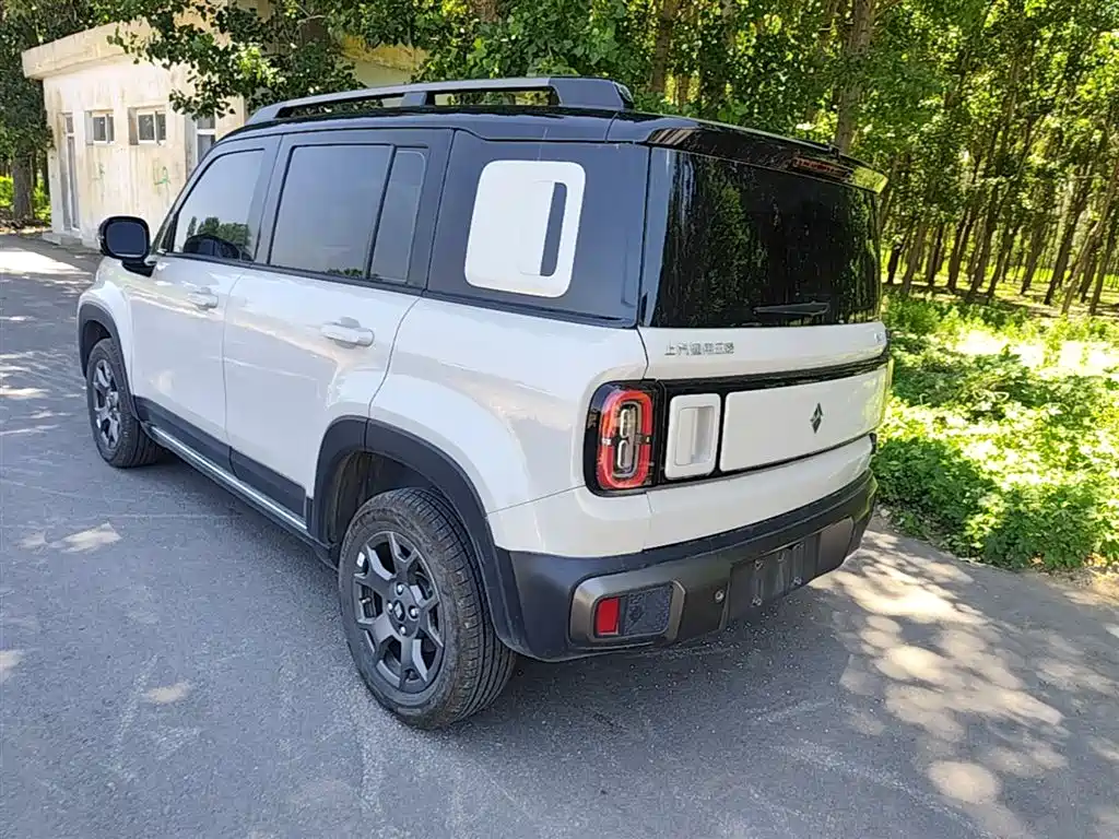 Baojun Yueye Plus 2025 2026 301km Flagship