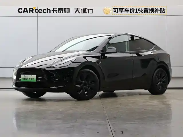 Tesla Model Y Задний привод
