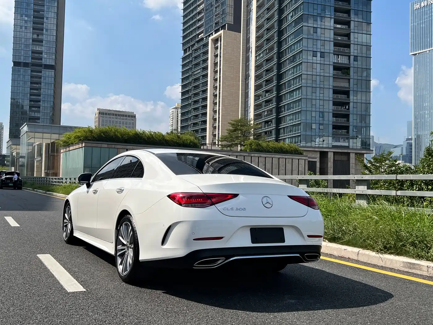 Mercedes-Benz CLS 2018 CLS 300 Luxury фото 13