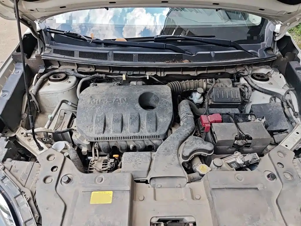 Venucia T60 2020 2020 Model 1.6L CVT Zhixing Edition China VI