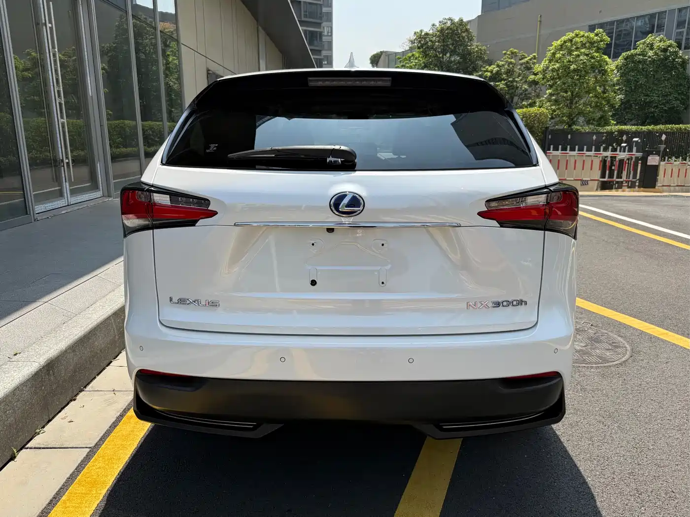 Lexus NX 2015 300h AWD F SPORT фото 5