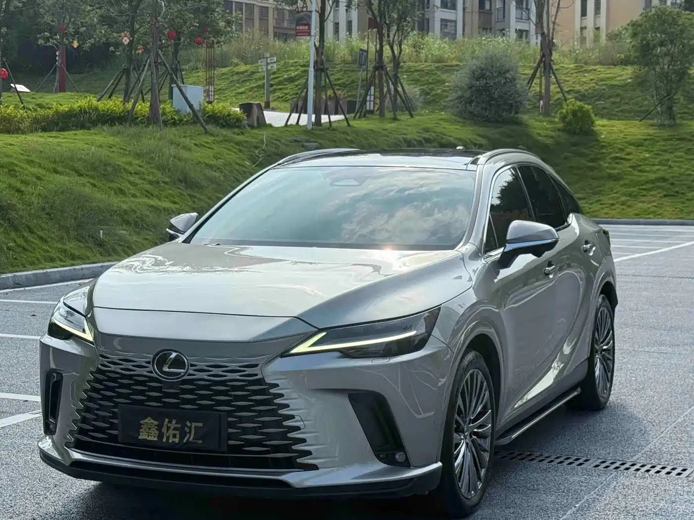 Photo 3 - Lexus RX