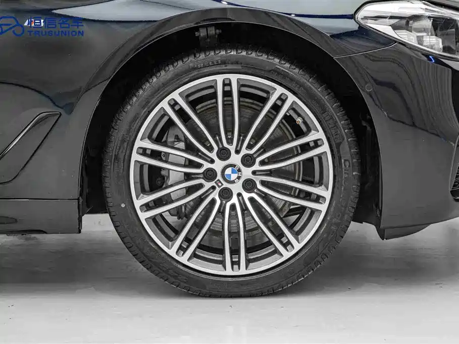 BMW 5 Series 2019 530Li Leading M Sport Package фото 11