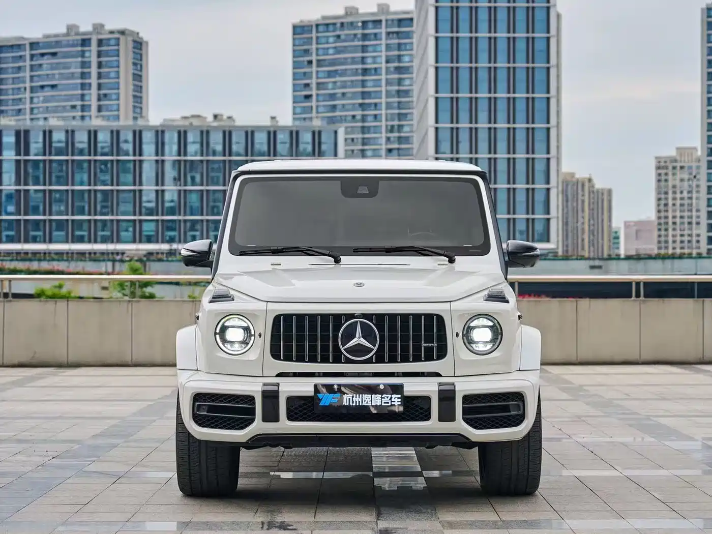 Mercedes-Benz G-Class 2019 G 500 фото 2