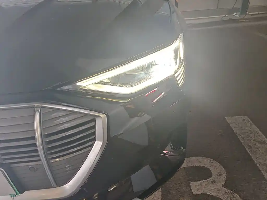 Audi e-tron (Import) 2021 2019 55 quattro Technology