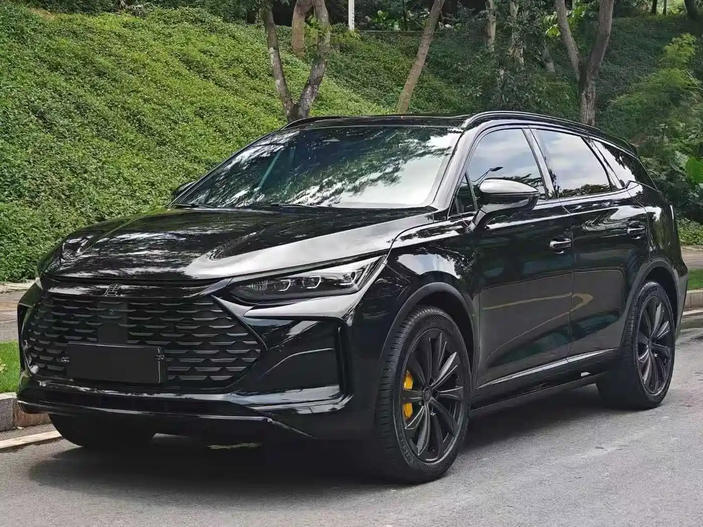 BYD Tang New Energy 2024 DM-p God of War Edition
