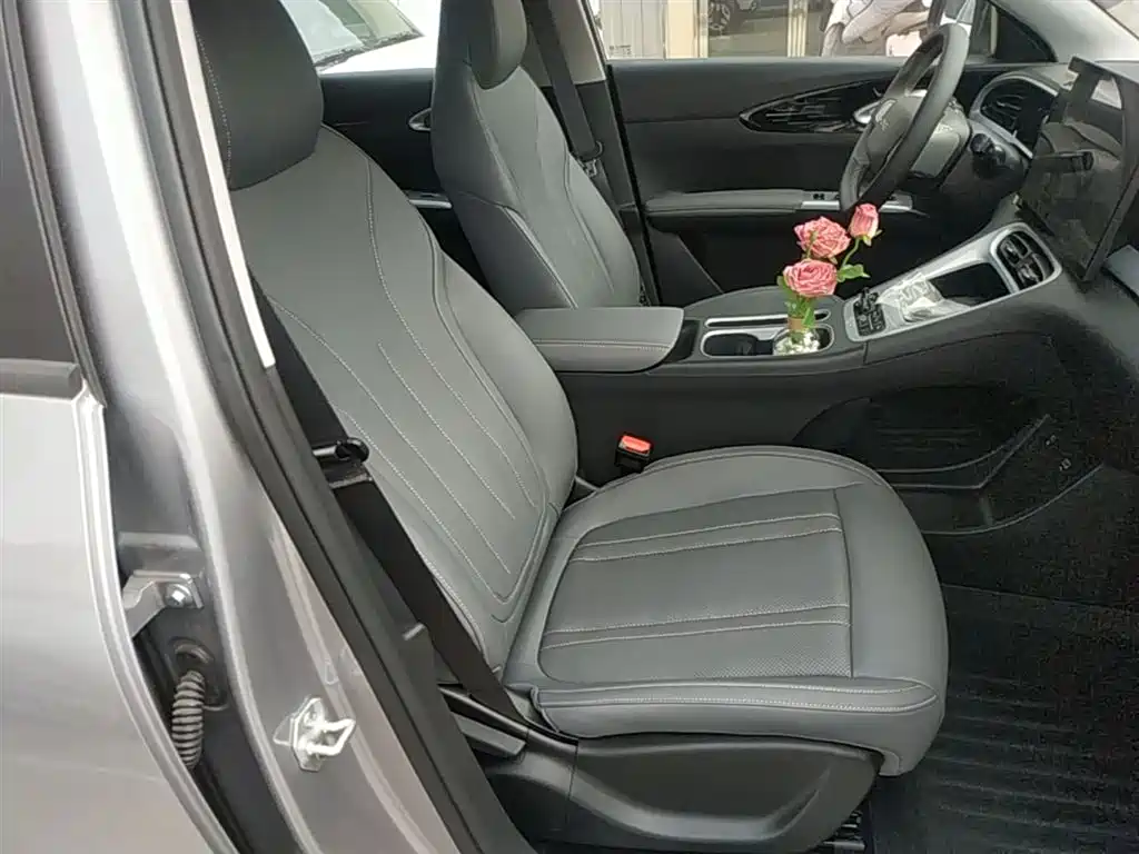 Geely Galaxy Starry Wish 2026 Model 310km Dream Edition фото 25