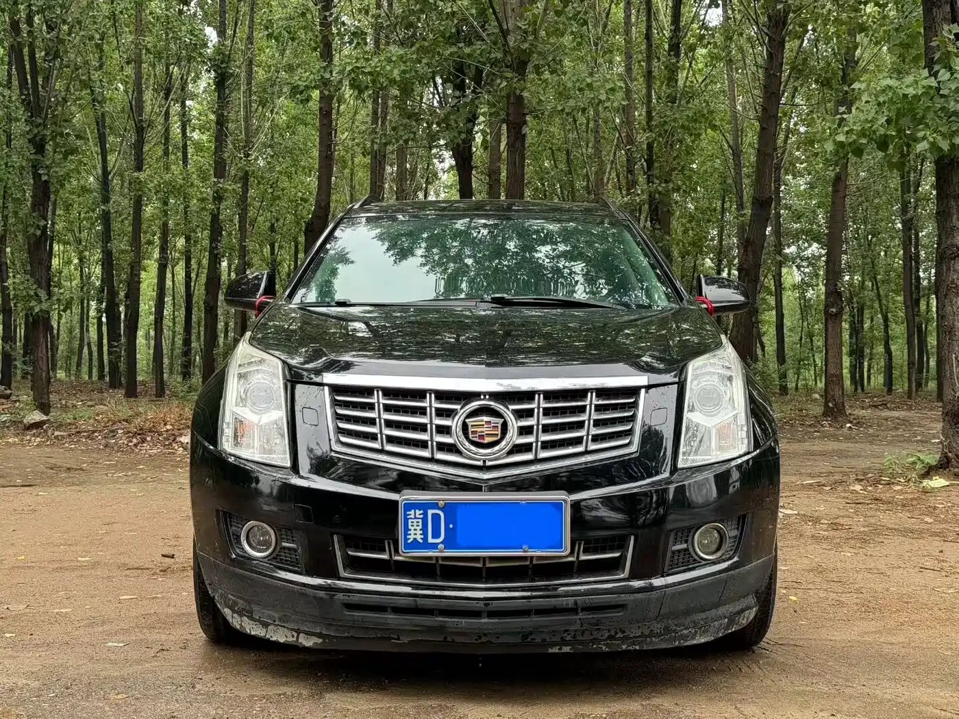 Cadillac SRX 2015 3.0L Comfort фото 2