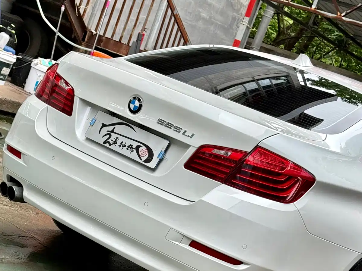 BMW 5 Series 2014 520Li Elegance фото 8