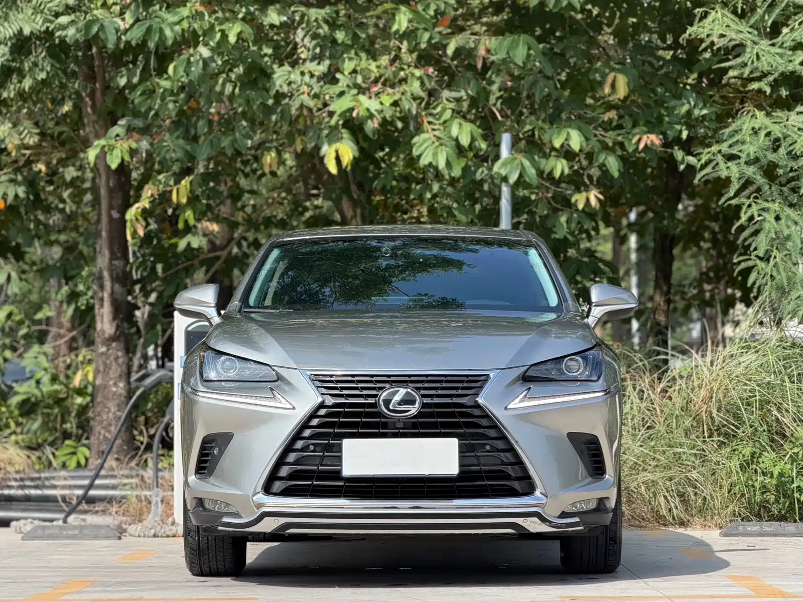 Photo 2 - Lexus NX