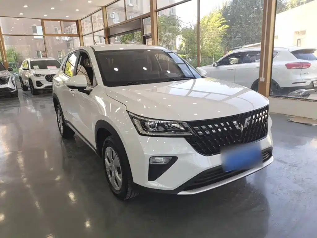Wuling Motors Wuling Xingchi 2024 2023 1.5L CVT Refreshing Edition