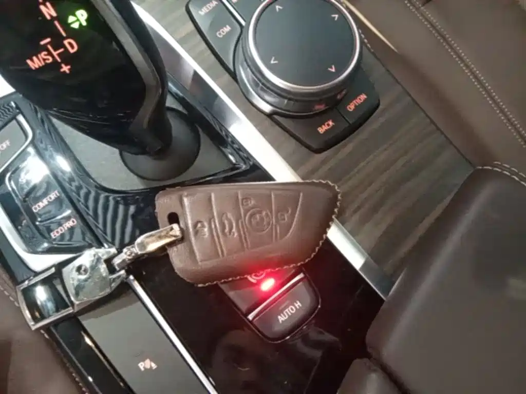 BMW 5 Series 2018 Facelift 530Li Leading Luxury Package фото 9