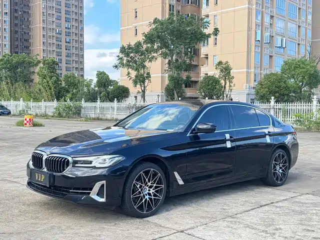 BMW 5 530Li, Лидер, Люкс-пакет